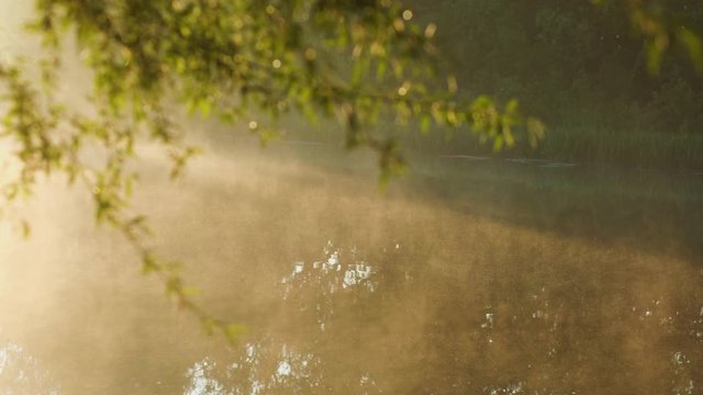 Beautiful scenic early morning sunny foggy water surface of river in background and blurry branches of fresh green dewy willow tree in foreground in soft sunrise sunlight.