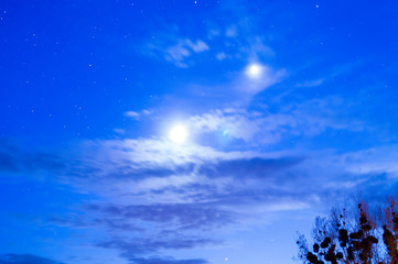 Nocne niebo, gwiazdy i drzewa.