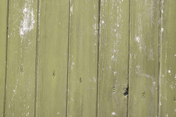 Vintage background of green painted and scattered old wooden boards