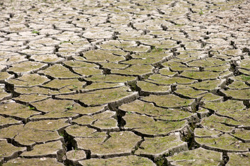 tiefe Risse im Erdboden, Symbolbild für Wassermangel und Klimawandel.