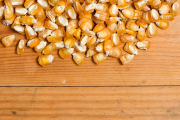 corn seeds close-up. sweet corn grains