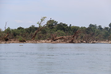 Fleuve M&eacute;kong &agrave; Don Det, Laos