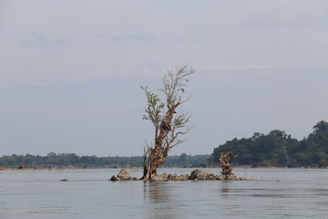 Fototapeta na wymiar Fleuve Mékong à Don Det, Laos