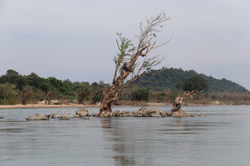 Fleuve M&eacute;kong &agrave; Don Det, Laos