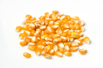 corn seeds close-up. sweet corn grains