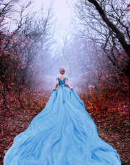 Artwork photo Beautiful silhouette woman princess Cinderella in autumn foggy mystic forest tree. Luxury magnificent royal blue dress very long train. image glamorous goddess. back of fairy tale Queen