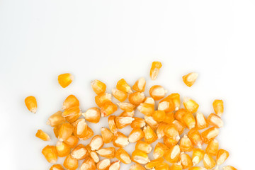 corn seeds close-up. sweet corn grains