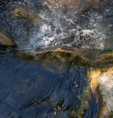 Fliessendes Gewässer - Fluss - Bach