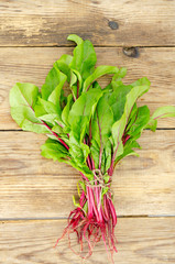 Young beetroot sprouts on wood background. Photo