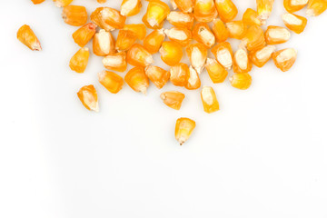 corn seeds close-up. sweet corn grains