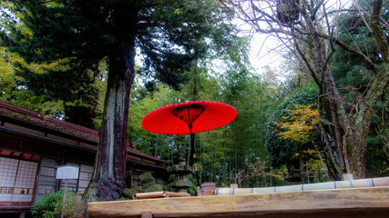 緑の中の赤い傘