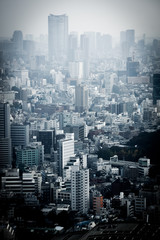 Fototapeta na wymiar 東京都庁展望台から見える東京の街並み
