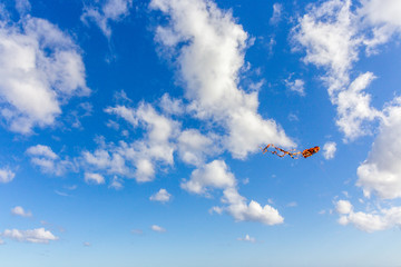 Obraz na płótnie Canvas A kite in the sky with a cloudy day