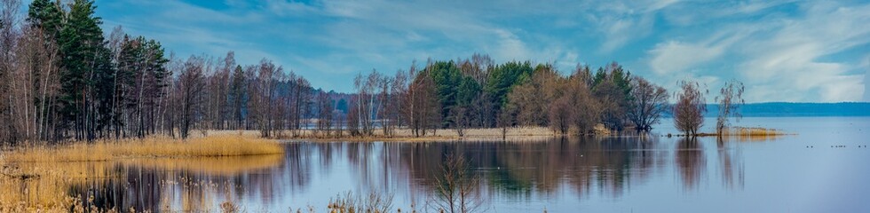 Fototapeta na wymiar Panoramic view on forest near lake