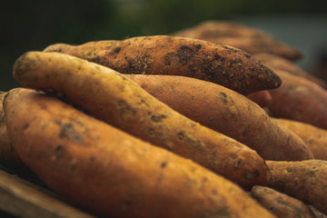 Sweet Potatoes for sale in a public market