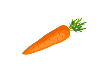 Fresh cartoon vegetable isolated on white background.
