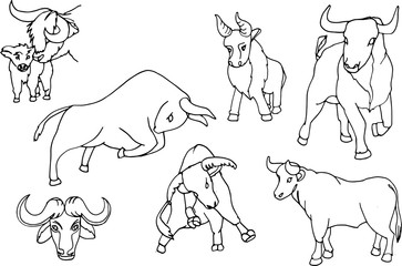 Set of vector doodles from 7 different bull poses