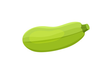 Fresh zucchini isolated on background. Squash whole. Fresh vegetable marrow isolated.