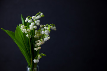 A bouquet of lilies of the valley on a black background with place for text. Delicate white spring flowers. Bouquet in a glass bottle. Copyspace.