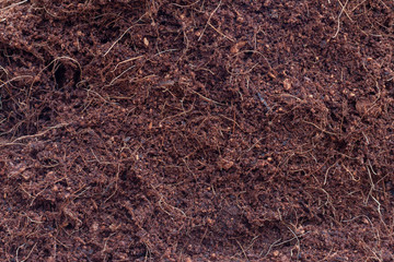 Fototapeta na wymiar Texture of coconut dust is a natural fertilizer for growing plants.