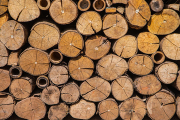 Beautiful background from timber .