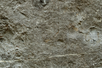 the texture of the cave or rocky cliffs are rugged with vignette background