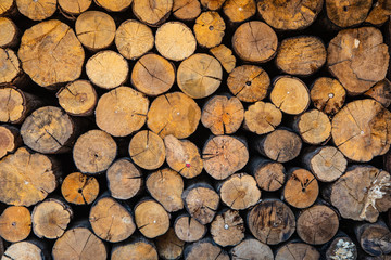 Beautiful background from timber .