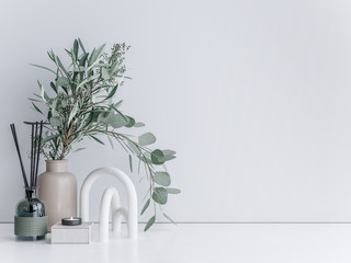 Interior minimal mock up, close up for Eucalyptus on white background, 3d render