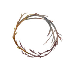 Watercolor isolated wreath of branches. Botanical illustration on a white background.