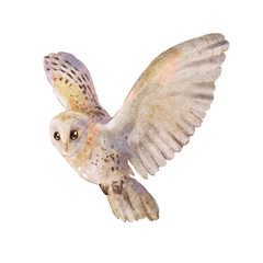 Watercolor isolated character flying owl. Barn owl.