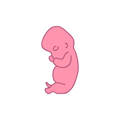 fetus 4 month doodle icon