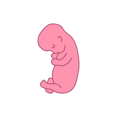 fetus 5 month doodle icon