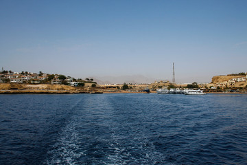 Naklejka premium Red Sea in Sharm El Sheikh, Egypt