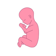 fetus 9 month doodle icon