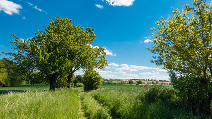 Ścieżka wśród pól Wzgórz Trzebnickich © RITHOR