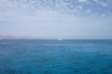 Red Sea in Sharm El Sheikh, Egypt