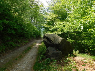 kamień na szlaku