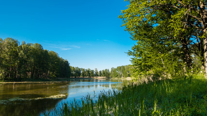 Fototapeta na wymiar One of the ponds in the Barycz Valley