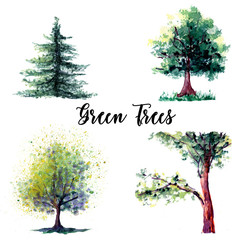 Four watercolor green trees
