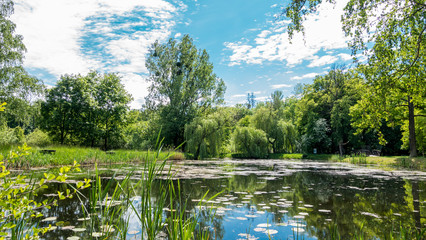 Landscape of the pond in the Zmigrodzki park © RITHOR