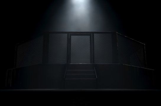 MMA Cage Door Spotlight