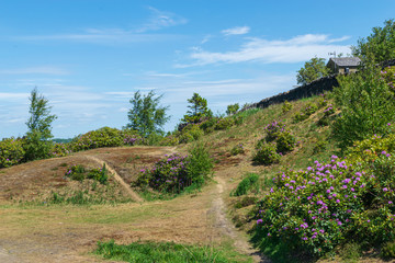Beacon Hill in Halifax, West Yorkshire