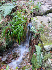The Alba Route in Asturias. Spain