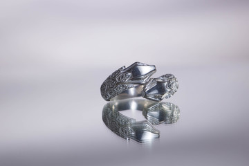 snake ring with white background