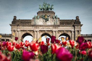 Parc du Cinquantenaire dans les tulipes