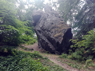 forest path with boulder, rock