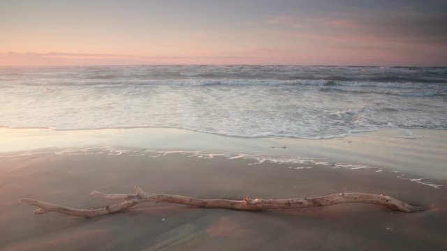 Sunset on a Sand Beach with a Tree Branch. Barletta, Italy.