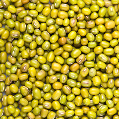 peas mash. mung bean.