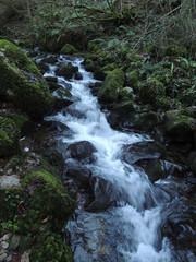 Xanas Route in Asturias. Spain