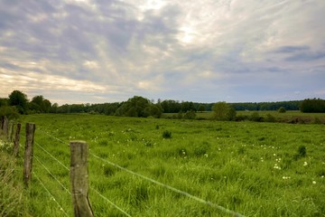 Horizontal shot of fenced green farmland